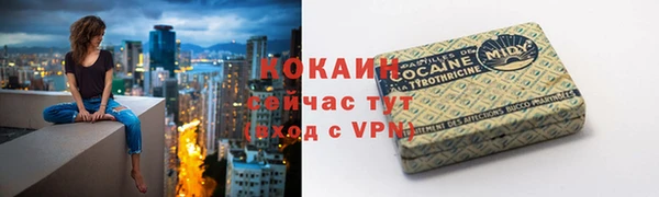 стаф Алзамай