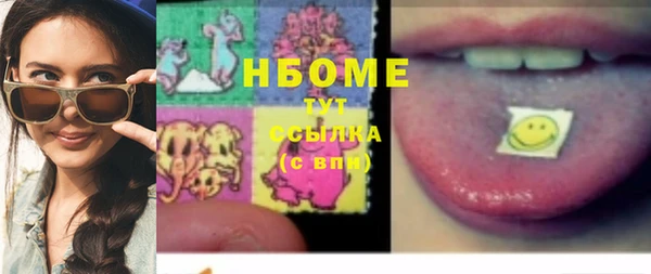 стаф Алзамай
