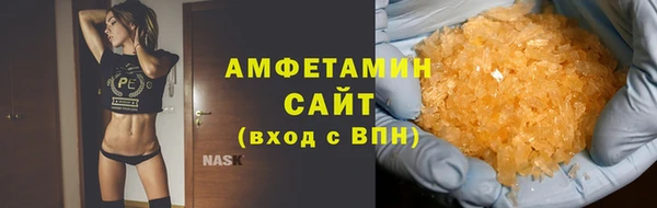стаф Алзамай