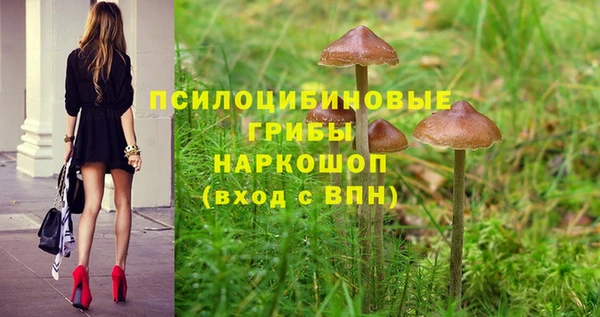 кокаин Алексин