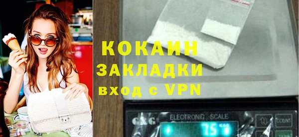 стаф Алзамай