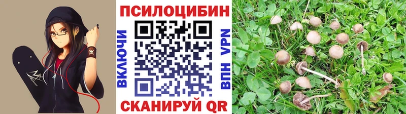 Галлюциногенные грибы GOLDEN TEACHER цена наркотик Тейково
